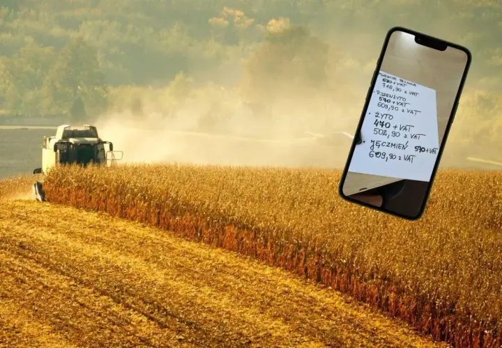 Żniwa kukurydzy w tle, na pierwszym planie smartfon z notatką o cenach zbóż: pszenica, pszenżyto, żyto, jęczmień. Ceny zbóż Woźniak.