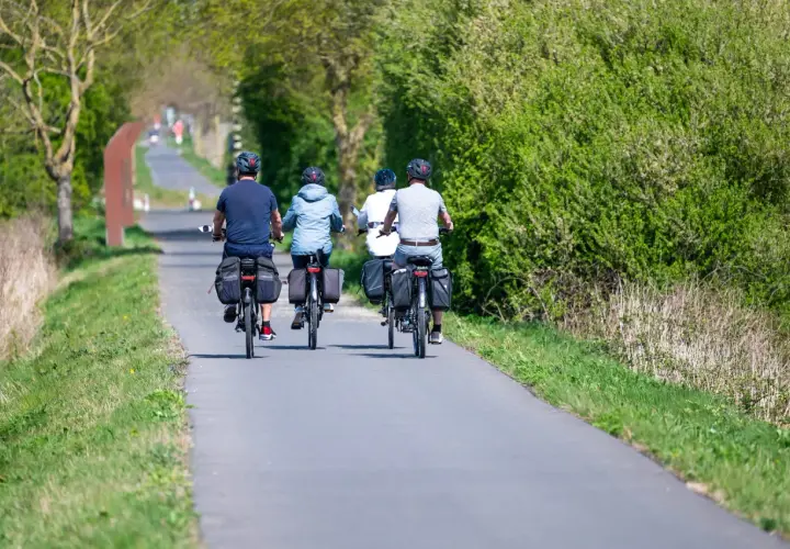 Four cyclists enjoy a scenic path, perfect for Belgium cycling tours. Lush green trees line the route.