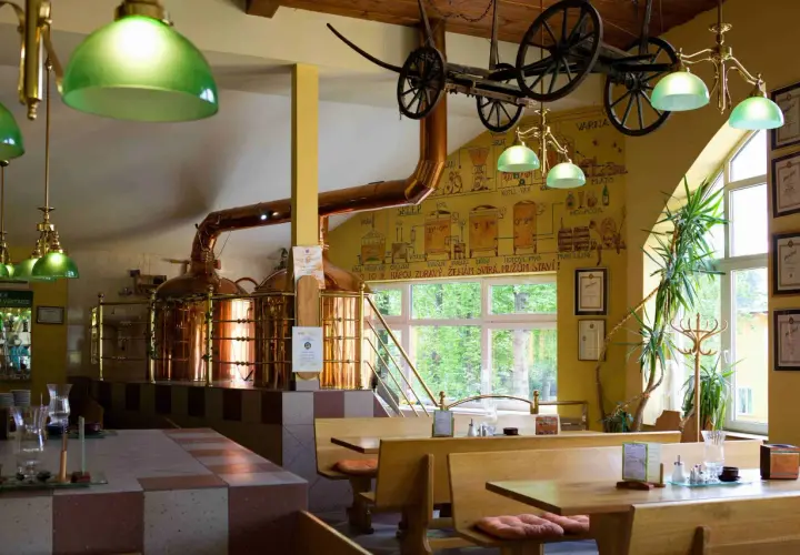Harrachov gdzie zjeść: najlepsze restauracje i lokalne smaki