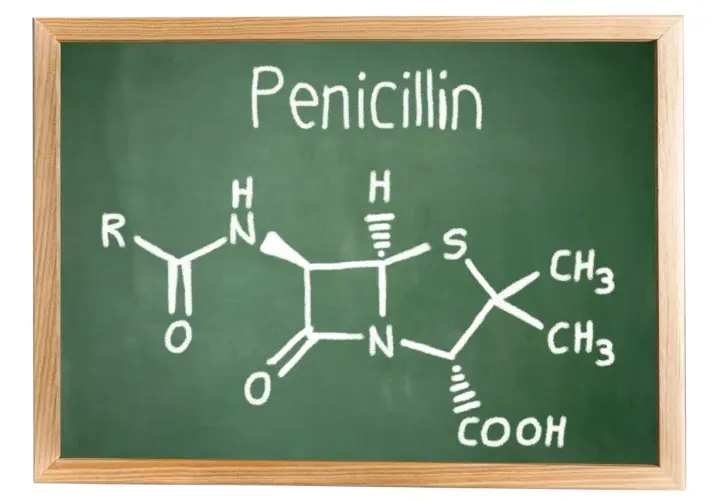 Struktura chemiczna penicyliny narysowana kredą na zielonej tablicy.