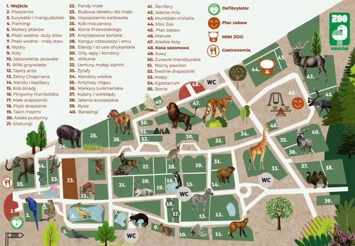 Co ciekawego w Krakowie? Mapa zoo z zwierzętami: od słoni i żyraf po pandy i tygrysy. Znajdź też place zabaw i gastronomię.