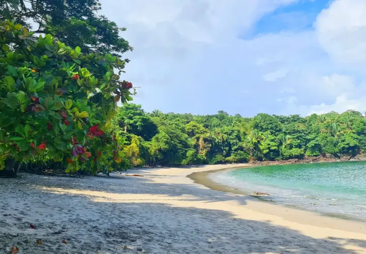Playa virgen en Manuel Antonio, Costa Rica, con arena blanca, vegetación exuberante y aguas turquesas.
