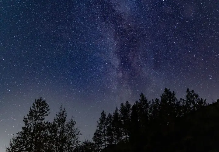Nocne niebo pełne gwiazd i Drogi Mlecznej nad ciemnym lasem. Idealne miejsce do obserwacji astronomicznych.