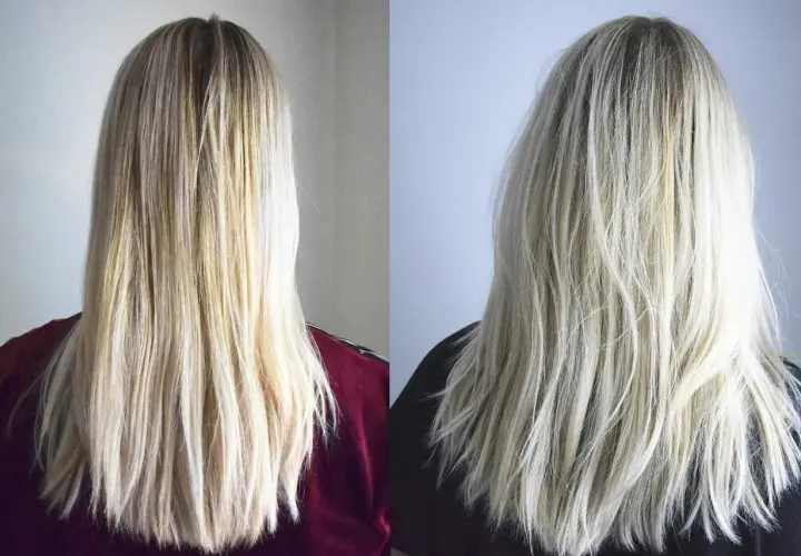 Två bilder av blont hår. Vänster bild visar torrt hår med synliga gula toner. Höger bild visar samma hår efter användning av silverschampo, med en kallare, silveraktig ton.
