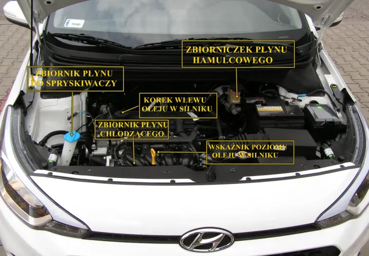 Hyundai i20: Co kryje się pod maską tego popularnego modelu?