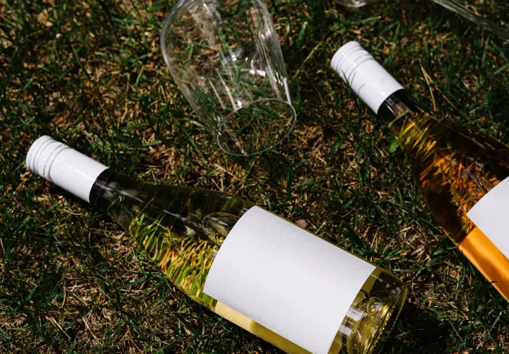 Dwie butelki wina i przewrócony kieliszek na trawie. Czy to wino organiczne, biodynamiczne czy naturalne?