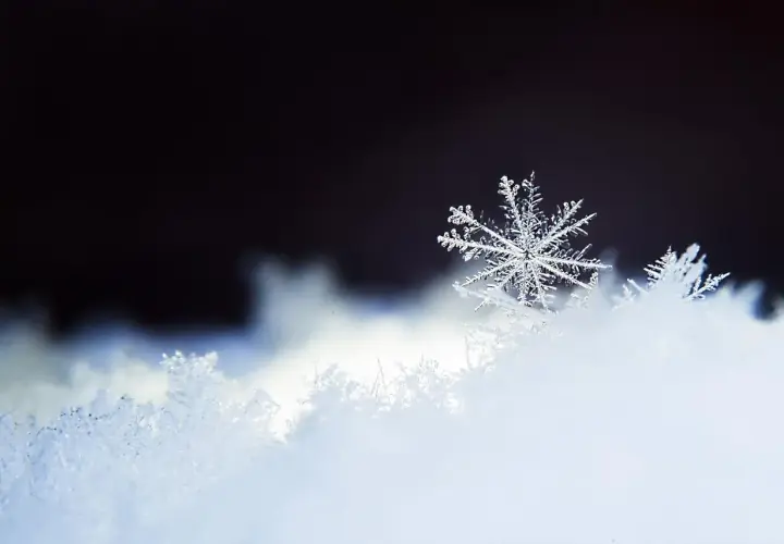 Un flocon de neige unique, délicat et complexe, repose sur un lit de neige scintillante, sous un ciel sombre.