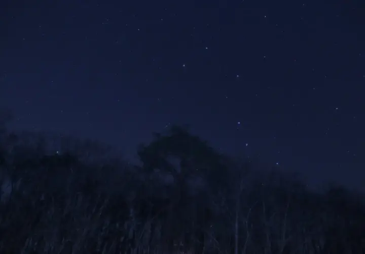 Nocne niebo nad lasem, gdzie widać gwiazdozbiór Wielkiej Niedźwiedzicy, a w jego pobliżu jaśnieje gwiazda polarna z bliska.