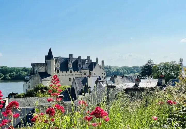 Vue d'un château sur une colline, avec des fleurs rouges au premier plan. Une belle journée pour une visite à Saumur.