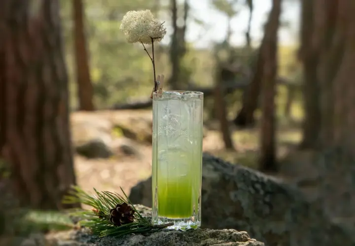 En uppfriskande granskottssirap drink med is, dekorerad med en torkad blomma och en kotte på en sten i skogen.