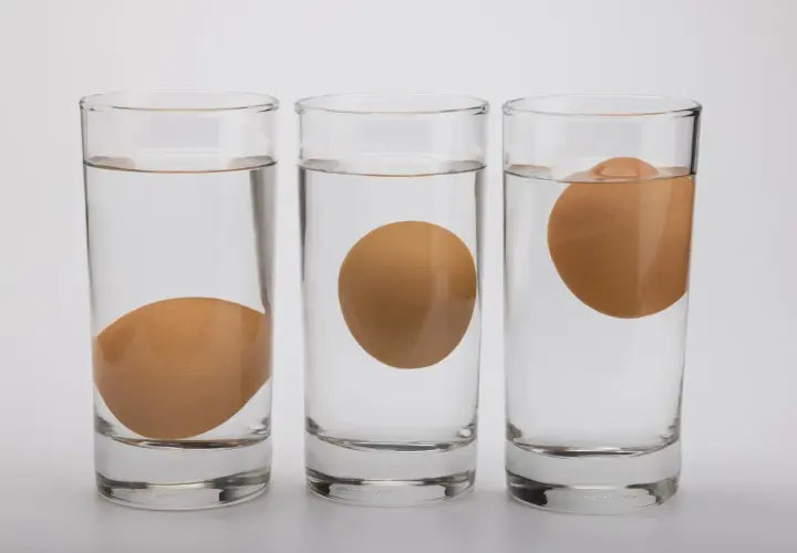 Trois verres d'eau montrent un œuf qui flotte à différents niveaux. L'œuf coule dans le premier verre, flotte au milieu et est presque entièrement hors de l'eau dans le troisième.