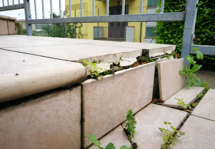 Piante spuntano tra le fessure di un pavimento sollevato, segno del tempo e della natura che si riprende i suoi spazi.