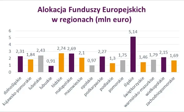 Regionalne programy dofinansowań: co to jest i jak zdobyć środki?