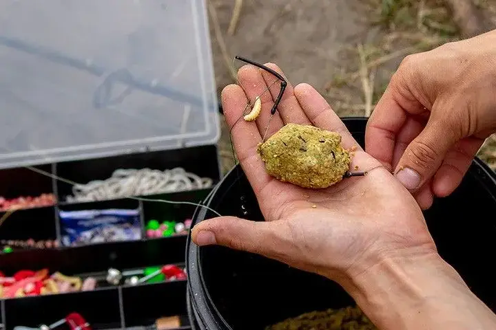 Jaki pellet na haczyk? Sekrety wyboru i montażu na karpia, leszcza
