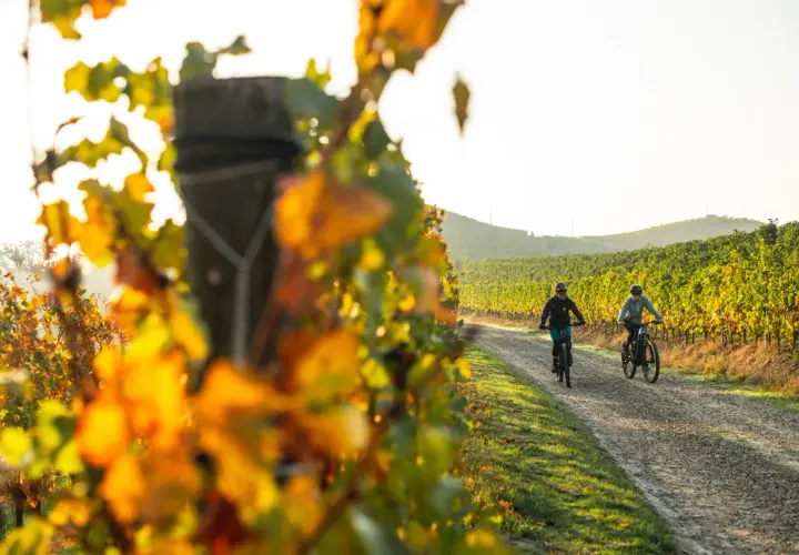 Due ciclisti pedalano su un sentiero sterrato tra i vigneti nelle Langhe, con le foglie autunnali che creano un vibrante contrasto.