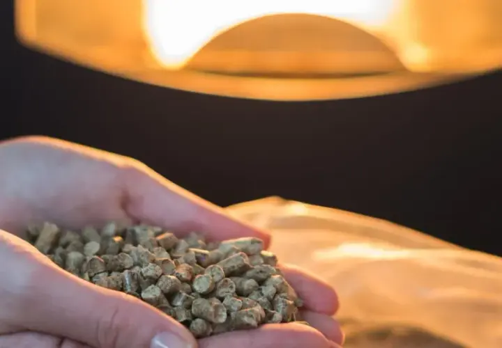 Dłonie trzymają pellet, paliwo do pieca. Czy piec na pellet może pracować cały czas?