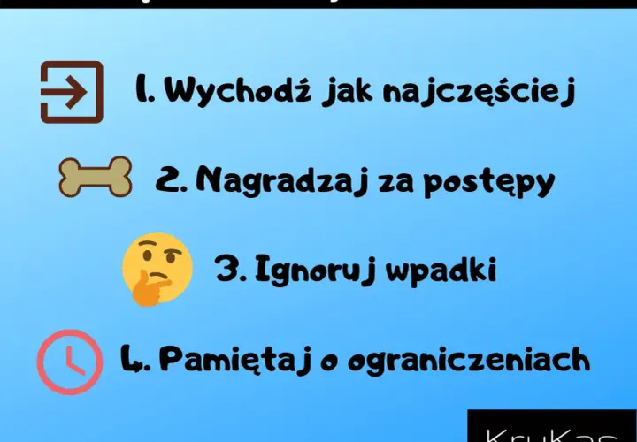 Nauka czystości szczeniaka: Poznaj plan na dom bez wpadek!