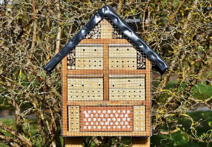 Ein Insektenhotel mit verschiedenen Fächern für Nützlinge, ideal als Standort im Garten.