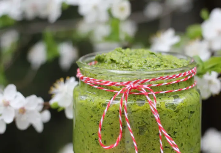 Słoik domowego pesto z czosnku niedźwiedziego, ozdobiony sznurkiem, na tle kwitnących drzew.