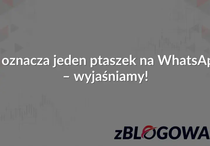 Co oznacza jeden ptaszek na WhatsApp? Wyjaśniamy! Tło z wykresami i logo zBLOGOWANI.