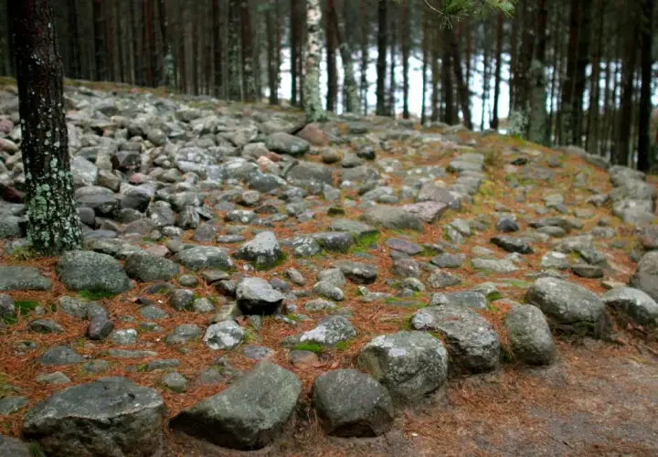 Kamienne kręgi w lesie, otoczone sosnowymi igłami i mchem. Stare kamienie tworzą tajemniczy krąg, jakby świadkowie dawnych opowieści.