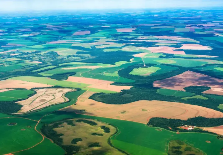 Rozległe, patchworkowe pola uprawne, zielone i brązowe, wiją się w krajobrazie. Tak wygląda teren, gdzie leży Paragwaj, z lotu ptaka.
