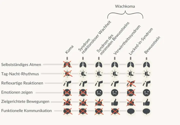 Schema zeigt verschiedene Stadien des Wachkoma, von Koma bis Bewusstsein, und deren Einfluss auf Funktionen wie Atmung und Kommunikation. Es illustriert den wachkoma sterbeprozess.