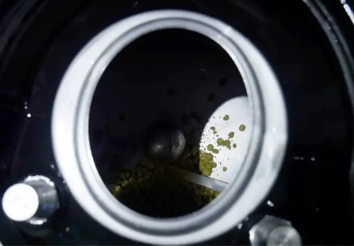 Vue de dessus d'un récipient rempli de houblon. Des granulés verts, le houblon, sont visibles, certains tombant comme un "hop creep" dans le fond sombre.