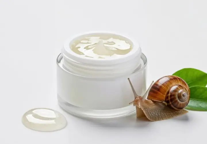 Ślimak obok słoiczka z kremem, symbolizującym naturalne składniki snailmed.