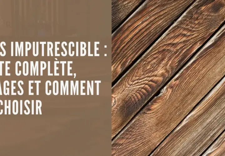 Gros plan sur des planches de bois naturel, texturées et vieillies, évoquant la durabilité du bois imputrescible.