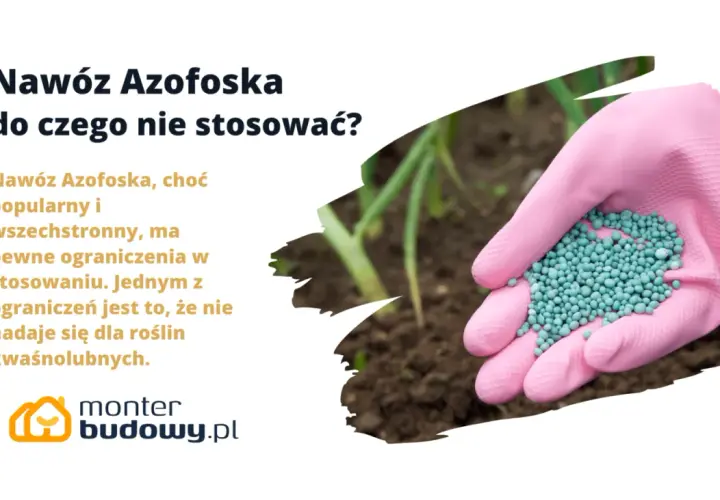 Różowa rękawica trzyma granulat nawozu Azofoska. Dowiedz się, do czego nie stosować tego popularnego nawozu, szczególnie przy roślinach kwasolubnych.