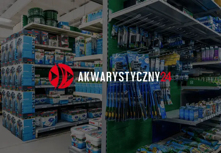 Najlepsze filtry do akwarium 120l – uniknij błędów w wyborze