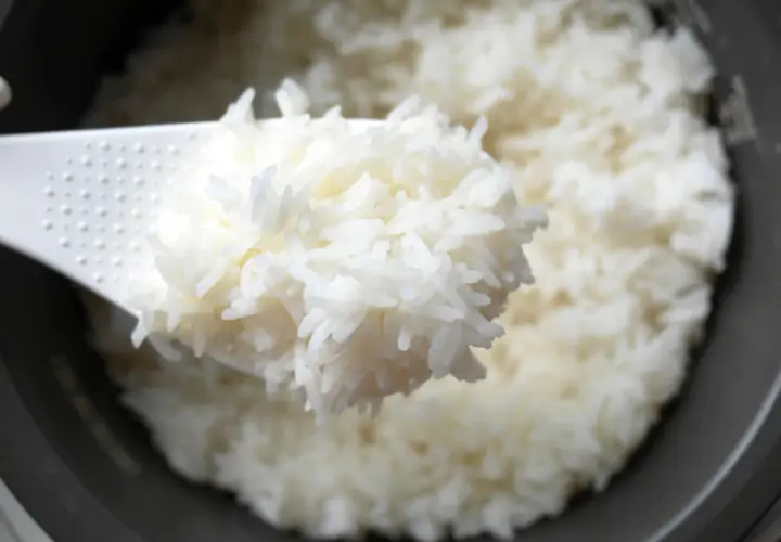 Fluffy white rice being scooped from a rice cooker. Perfect for learning how to pack rice for lunch.