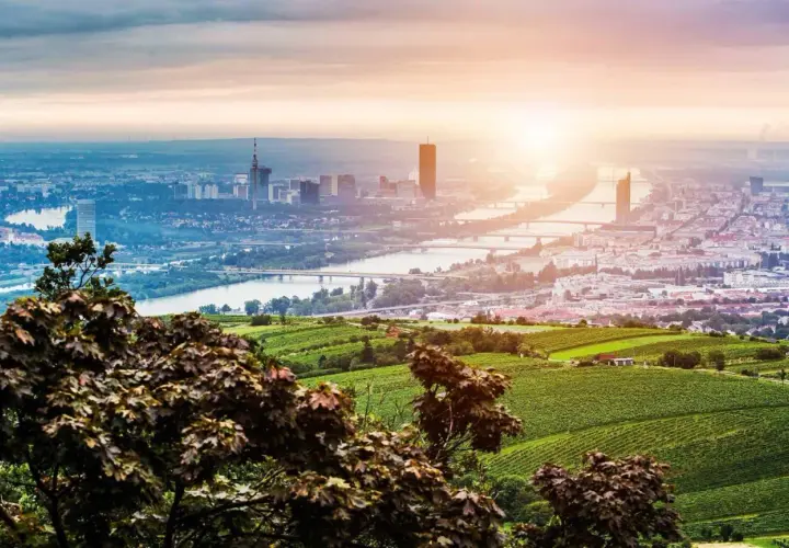 Vacker vy över Wien med Donau och vinodlingar i förgrunden. Perfekt för weekendresor Wien.