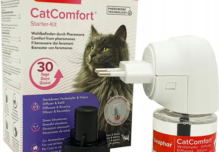 Provera dla kota: Cena, Gdzie kupić, Skutki uboczne