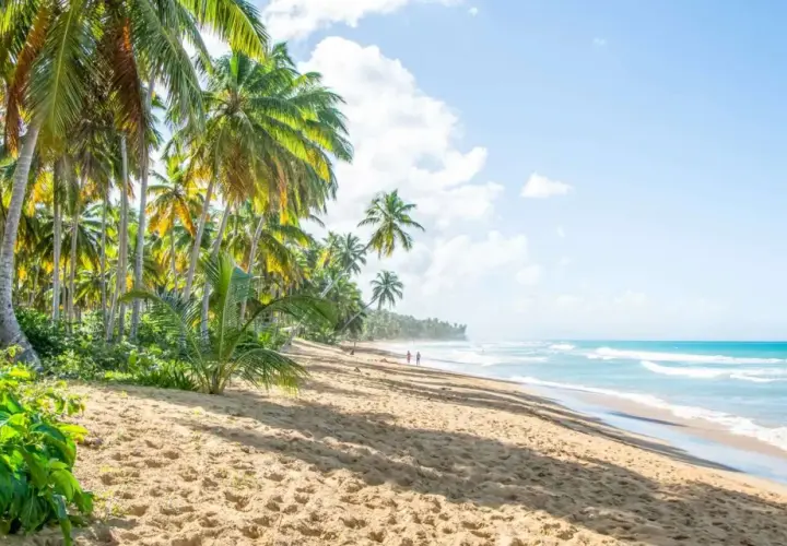 Puerto Plata: Odkryj najlepsze atrakcje i zaplanuj idealne wakacje