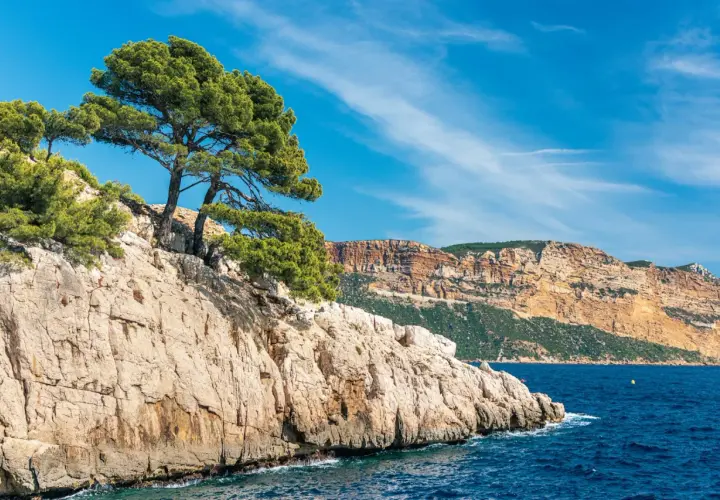 Skaliste wybrzeże z sosnami, błękitne morze i majestatyczne calanques w oddali.