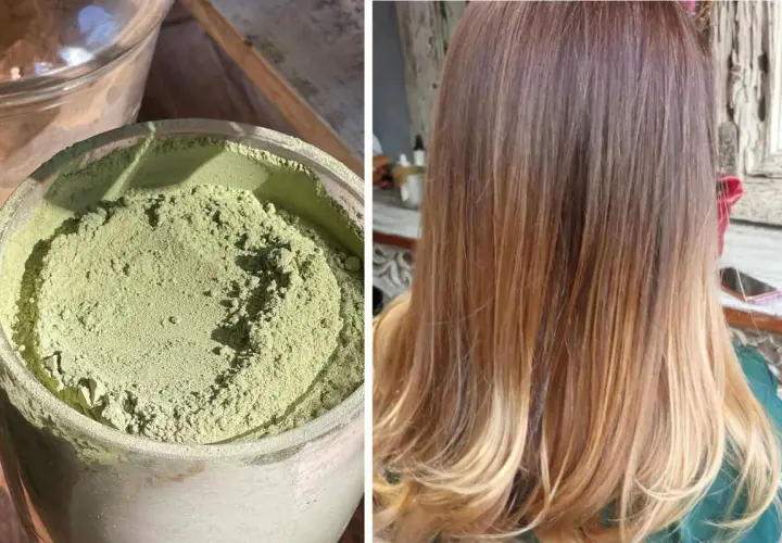 Polvo verde de que es la henna en un recipiente, junto a un cabello teñido con tonos cobrizos y rubios.