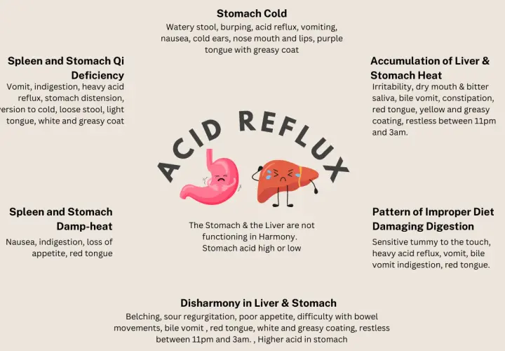 Diagram illustrating causes and symptoms of acid reflux in dogs, including stomach cold, spleen/stomach deficiency, and improper diet.