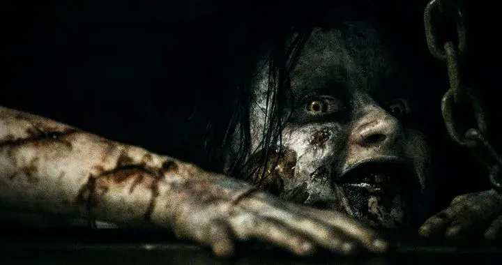 Filmy od 21 lat: Kontrowersyjne kino tylko dla dorosłych