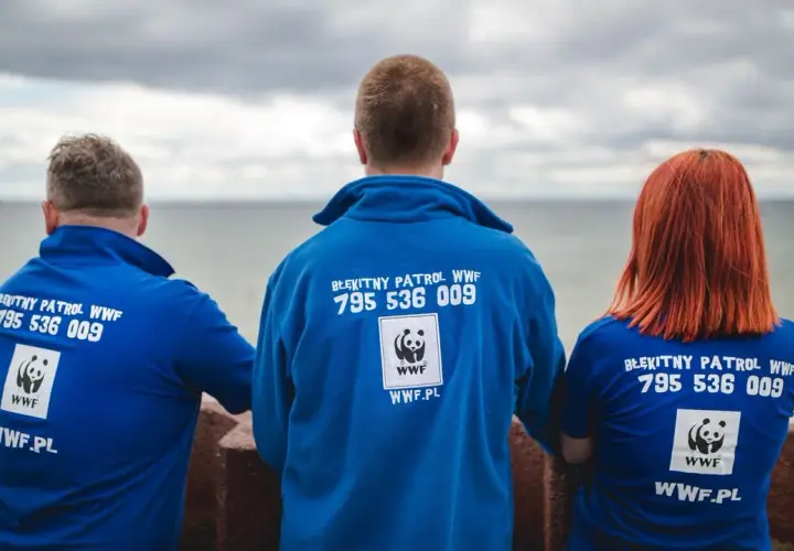 Jak zostać wolontariuszem WWF i zmienić świat na lepsze