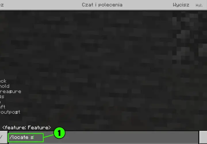 Ekran czatu w Minecraft, pokazujący jak wpisywać komendy w Minecraft. Widoczna lista struktur do zlokalizowania, np. "shipwreck", "stronghold".