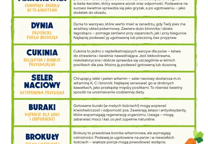 Jakie warzywa dla psa? Sprawdź, co podawać, a czego unikać