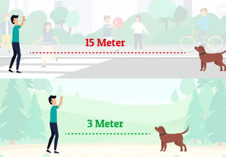 Oben: Hund wartet 15 Meter entfernt. Unten: Hund wartet 3 Meter entfernt. So übt man das hund abrufen.