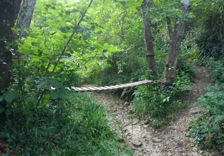 Puente de madera sobre un arroyo seco en un bosque frondoso de las Gavarres.
