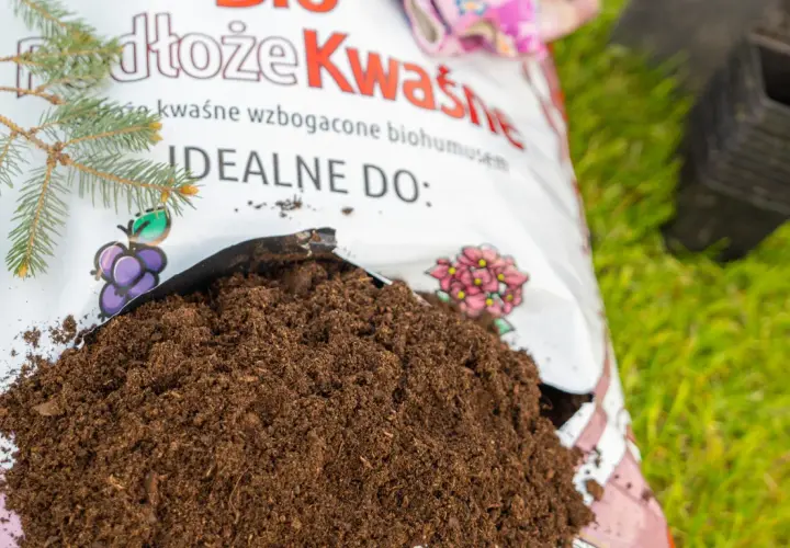 Ziemia lekko kwaśna, idealna do iglaków i roślin wrzosowatych, wysypana z worka na trawę.