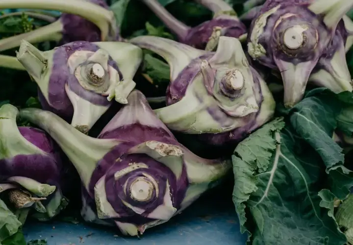 Kupka fioletowo-zielonych kalarep. Czy pies może jeść kalarepę? Tak, w umiarkowanych ilościach.