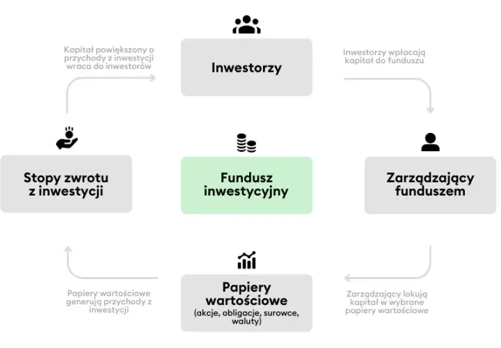 Jak założyć fundusz inwestycyjny? Kompletny przewodnik KNF