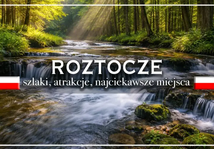 Słoneczne promienie przebijają się przez las, oświetlając malowniczy potok. Idealne miejsce na zwiedzanie Roztocza samochodem, odkrywając szlaki i najciekawsze miejsca.