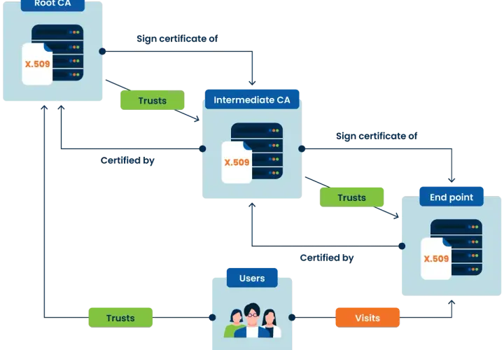 Diagrama de cadena de confianza: Root CA certifica Intermediate CA, que a su vez certifica End point. Usuarios confían en End point.